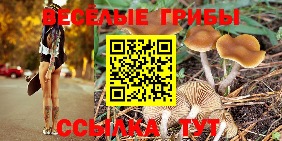 Алексин  Псилоцибиновые грибы мухоморы  Псилоцибиновые грибы Magic Shrooms  Вход с VPN 
